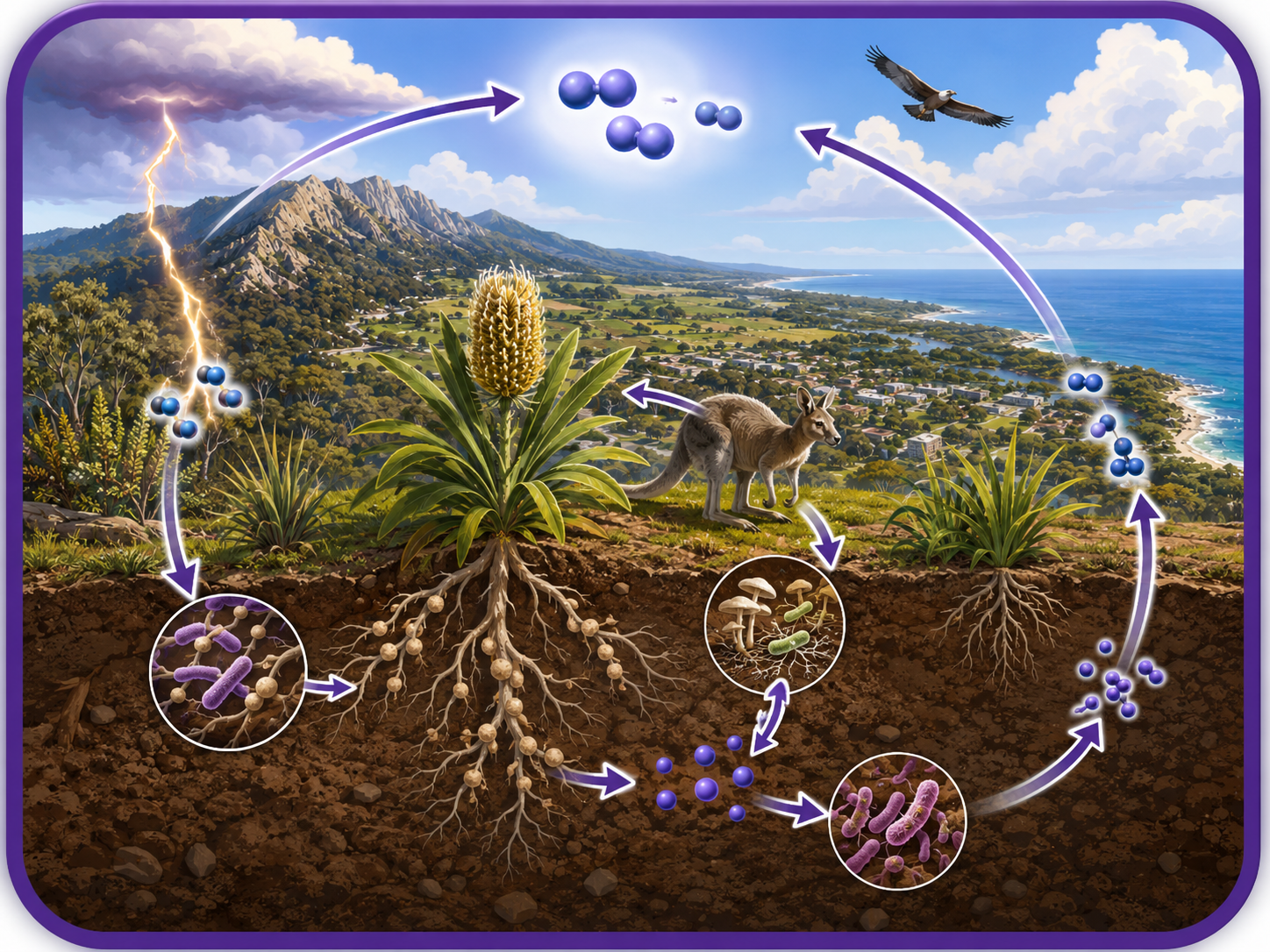 Nitrogen Cycle Challenge